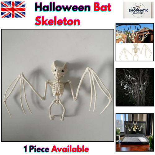 Halloween bat skeleton - halloween,