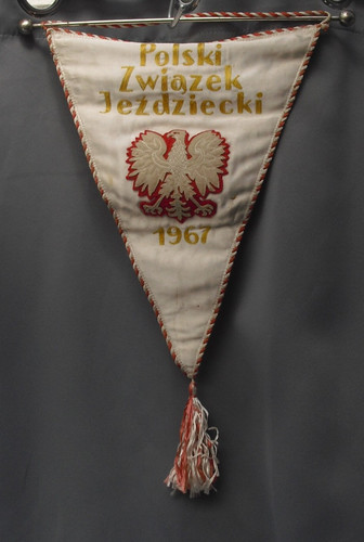 Pennant flag polish - pennant,