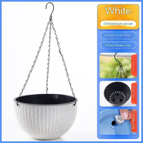 Hanging baskets flower - x,