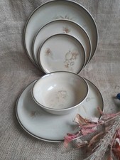 Denby from Coloroll Dinner Set