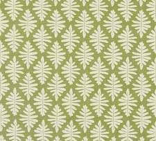 Vanessa Arbuthnott Little Fern