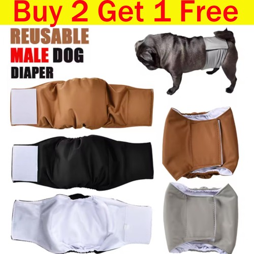 Male dog puppy pet nappy - male,