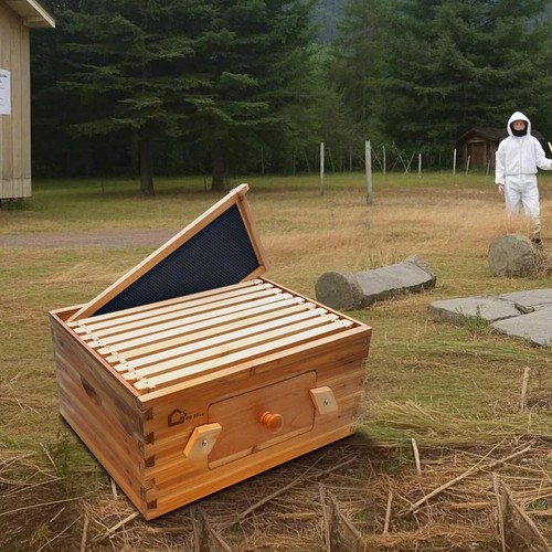 Frame deep brood box - 10-frame,