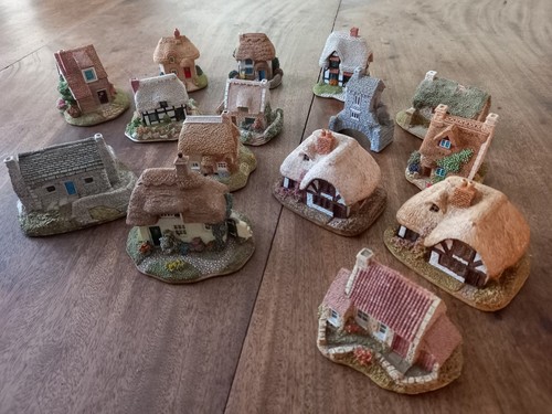 Large lot lilliput - large,