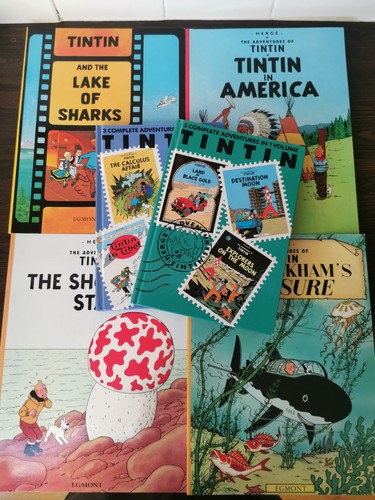 Tintin book bundle - tintin,
