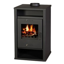 Wood Burning Stove with Back