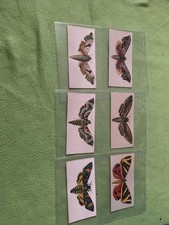r.j lea ltd moths silk cigarette cards full set