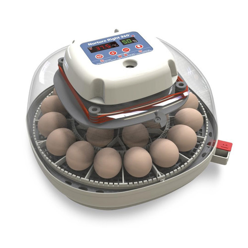Egg incubator for hatching - incubator,