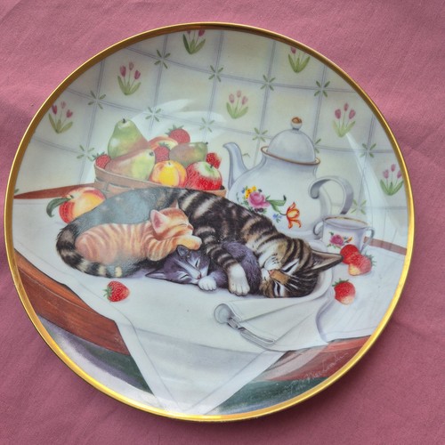 Franklin mint cat nap plate - mint,