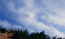Pond cover netting - netting, x4m