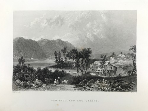Saw mill log cabin - cabin, american