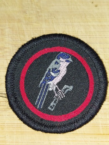 Girlguiding girl guide - uk,