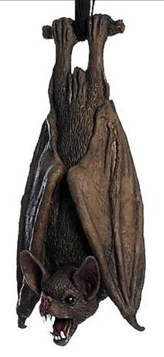 Vampire bat halloween - vampire,