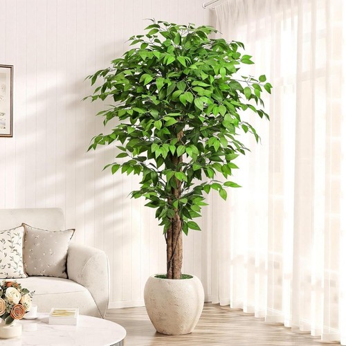 Indoor plant green - indoor, 6ft