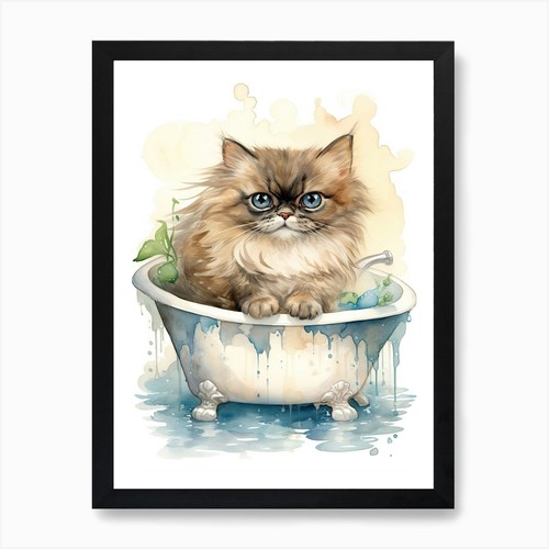 Himalayan cat bathtub - himalayan,