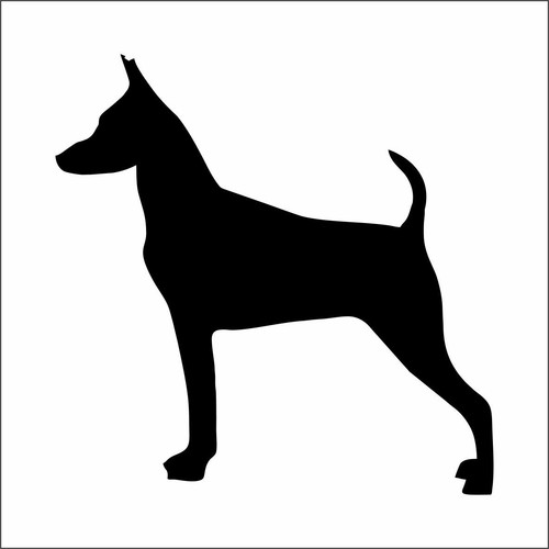 Miniature pinscher dog car - dog,