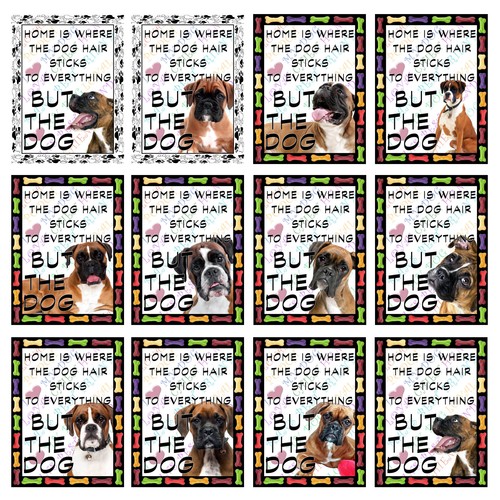 Boxer dog retro - boxer,