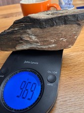 Piece of Fossilised Wood