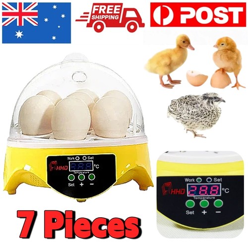 Egg incubator for - egg,