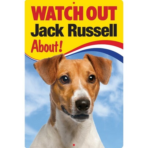 Watch out jack russell about - watch,