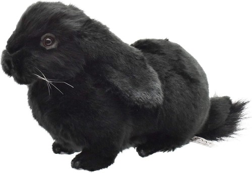 Hansa bh8142 holland - holland, lop