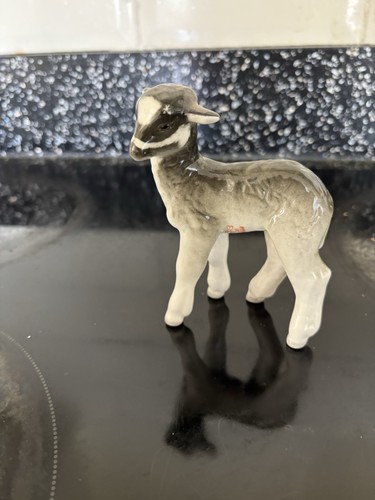 Lemonosov model lamb - lemonosov, a