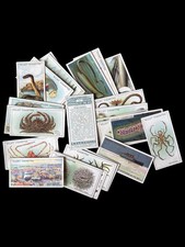 Wills Cigarette Cards WONDERS