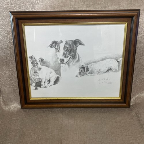 Jack russell framed - jack,