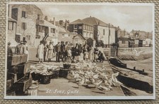 St. Ives Gulls, Seaside, Cornwall, Frith's Sepia Postcard 1950s
