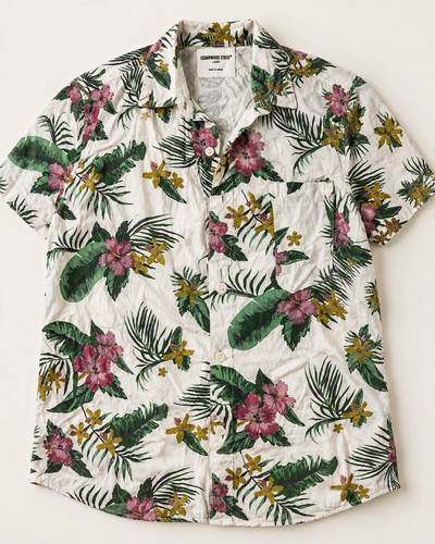 Cedarwood state white tropical - state,