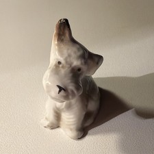 Wade Brown White Terrier