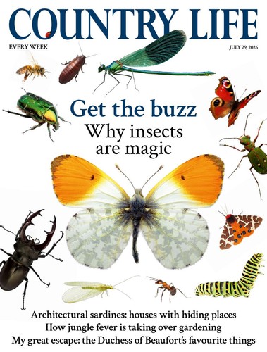 Country life magazine - magazine, 29