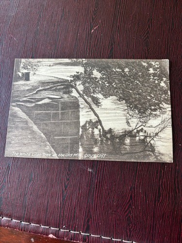 Postcard england warwick - uk,