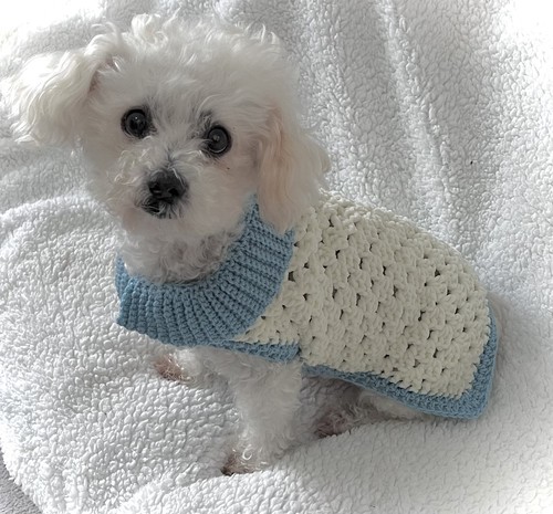 Handmade crochet chenille dog - handmade,