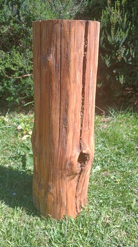 Tree stump table hardwood log