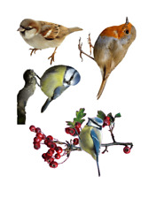 VINYL STICKERS DECALS SET OF 4