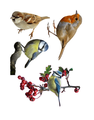 Vinyl stickers decals set - stickers, 4