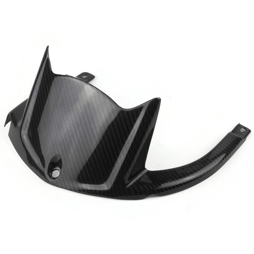 Kawasaki zx10r 100 carbon - zx10r, 100%