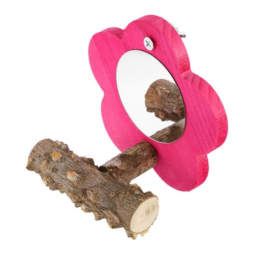 Pink acrylic parrot mirror toy - mirror,
