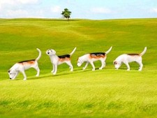 4 Vintage Beswick England Foxhound Fox Hunting Dog Figurines Figure Dogs Pottery