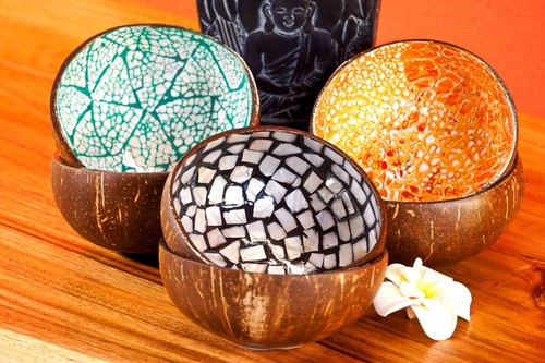 Coconut shell mother pearl - shell,