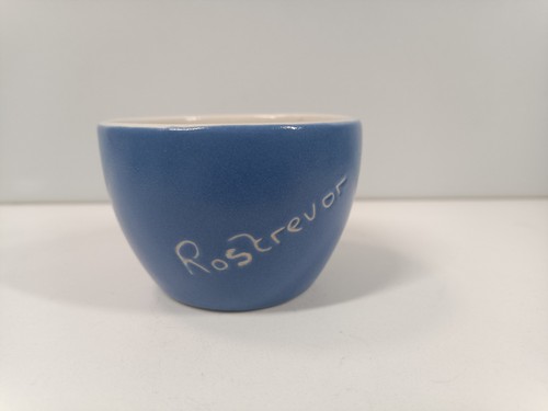 Devon pottery small bowl - devon,