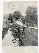 1900’s postcard nanhyfer