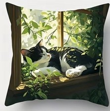 Black and white Cat in garden