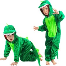 Green Dinosaur Costume for