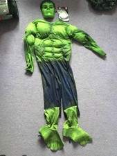 Incredible Hulk Costume