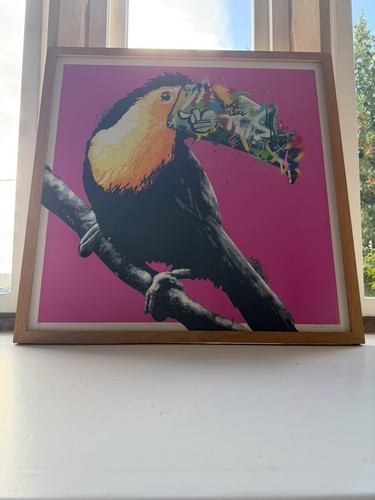 Martin whatson toucan - martin,
