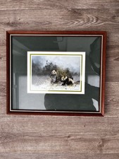 David Shepherd Framed Panda