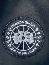 Canada goose all black body