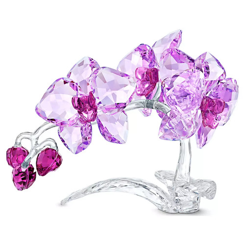 Swarovski crystal paradise - swarovski,